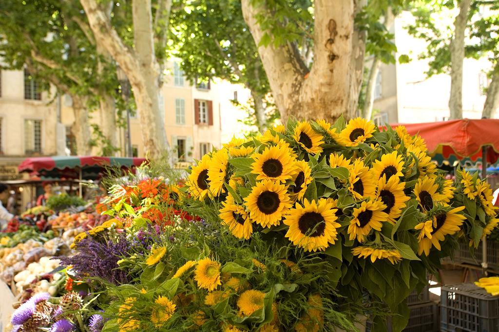 Les Jardins De Baracane Avignon Exterior foto