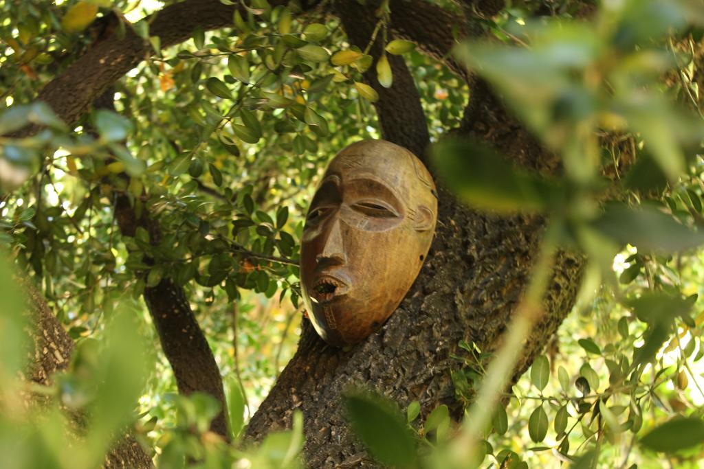 Les Jardins De Baracane Avignon Exterior foto